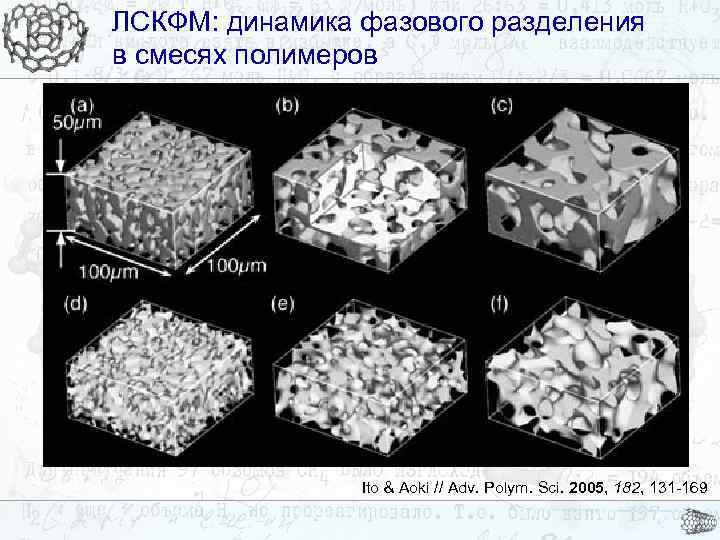 ЛСКФМ: динамика фазового разделения в смесях полимеров Ito & Aoki // Adv. Polym. Sci.