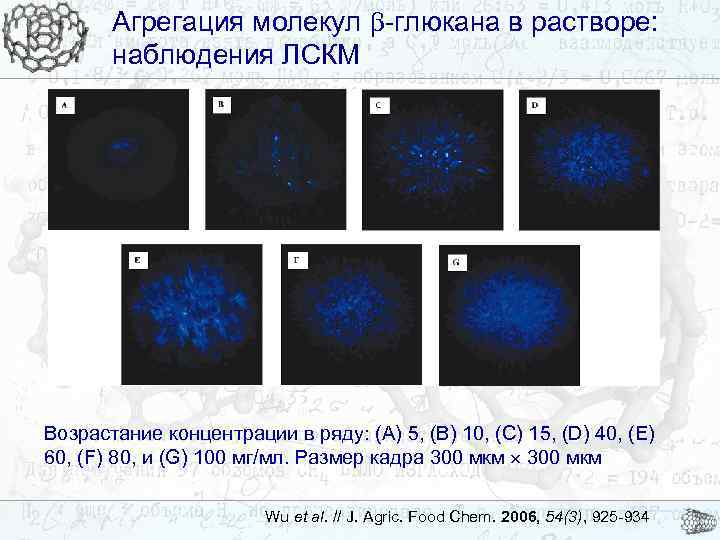 Агрегация молекул -глюкана в растворе: наблюдения ЛCКМ Возрастание концентрации в ряду: (A) 5, (B)