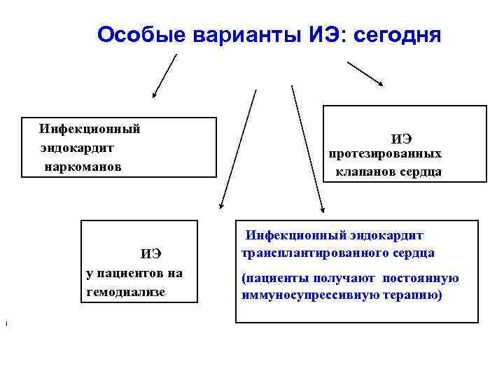 Особые варианты ИЭ: сегодня Инфекционный эндокардит наркоманов ИЭ у пациентов на гемодиализе 1 ИЭ