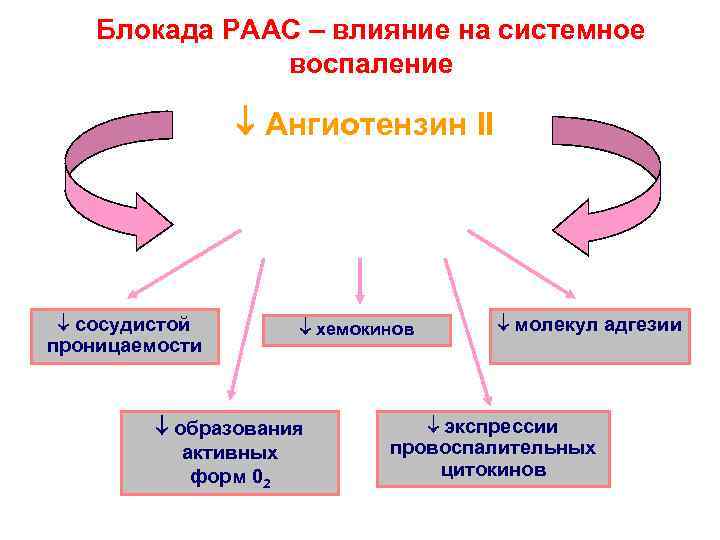 Блокада РААС – влияние на системное воспаление Ангиотензин II степени системного воспаления сосудистой проницаемости