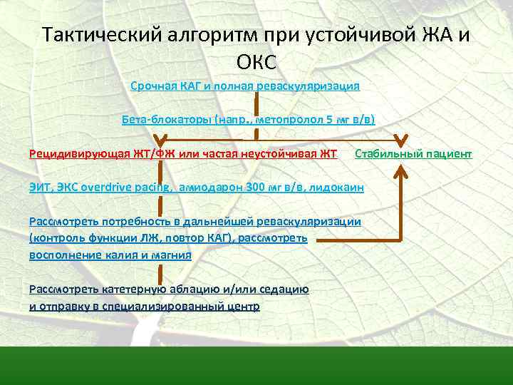 Тактический алгоритм при устойчивой ЖА и ОКС Срочная КАГ и полная реваскуляризация Бета-блокаторы (напр.