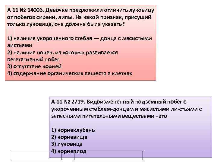 A 11 № 14006. Девочке предложили отличить луковицу от побегов сирени, липы. На какой