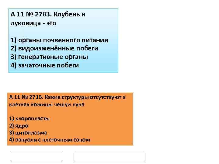 A 11 № 2703. Клубень и луковица это 1) органы почвенного питания 2) видоизменённые