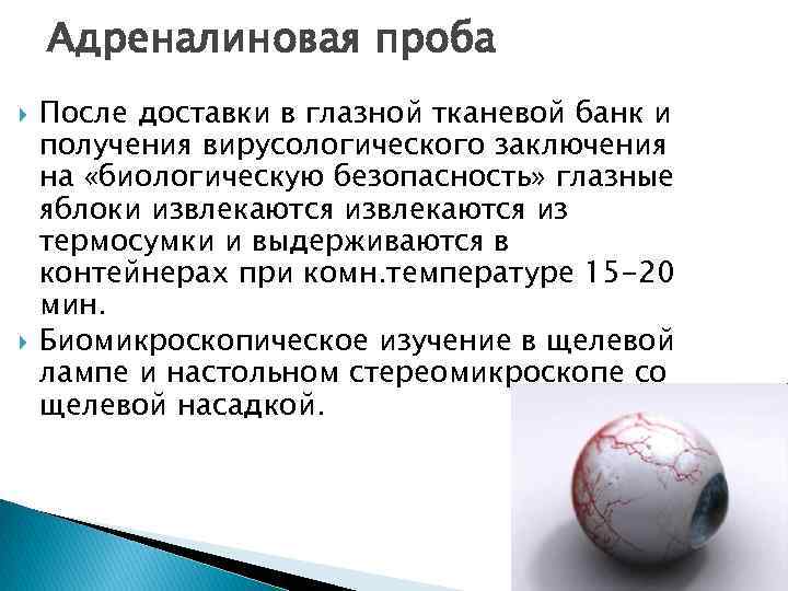 Адреналиновая проба После доставки в глазной тканевой банк и получения вирусологического заключения на «биологическую