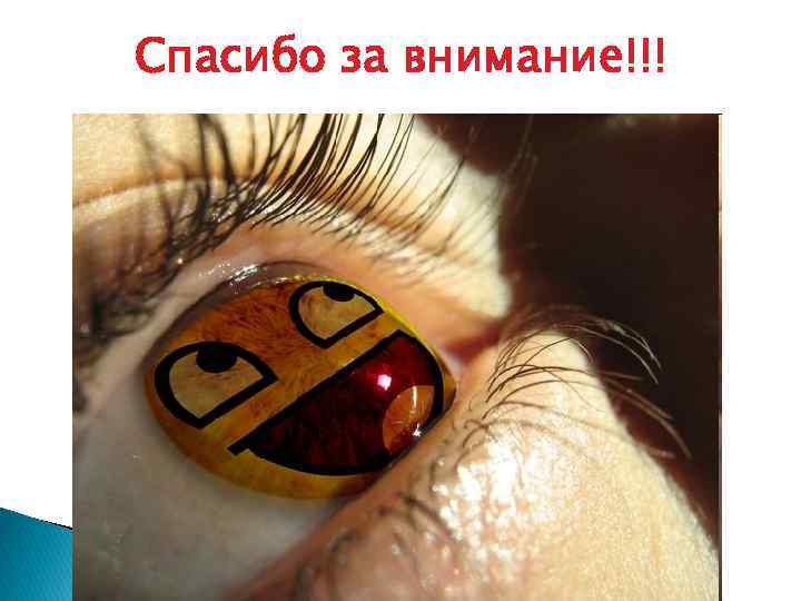 Спасибо за внимание!!! 