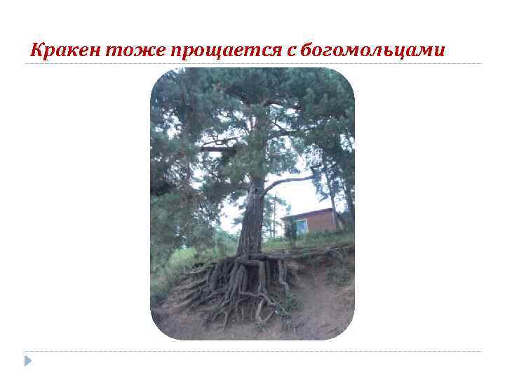 Кракен тоже прощается с богомольцами 