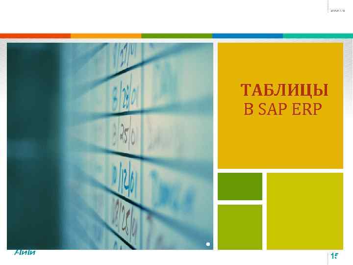 ТАБЛИЦЫ В SAP ERP 15 