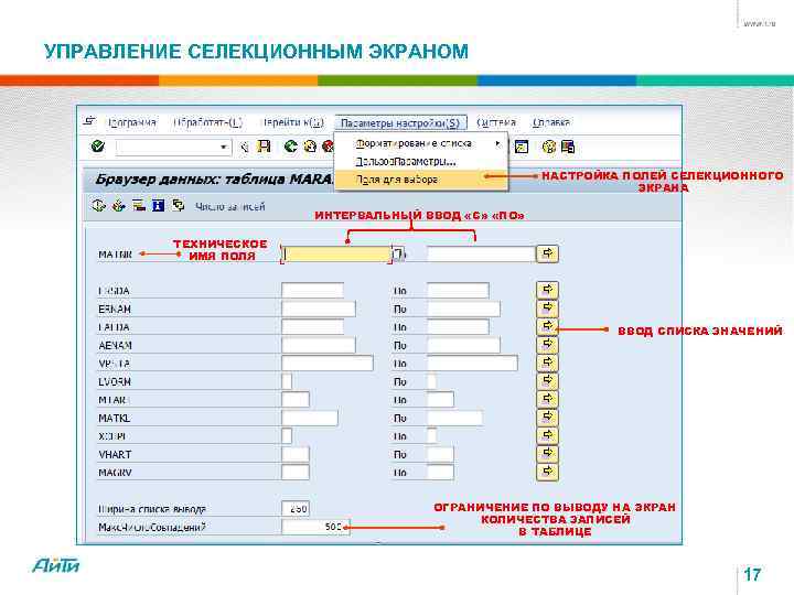 Техническое имя. Селекционный экран SAP это. Таблица вариантов в SAP. Обязательное поле в SAP. Селективный экран SAP.