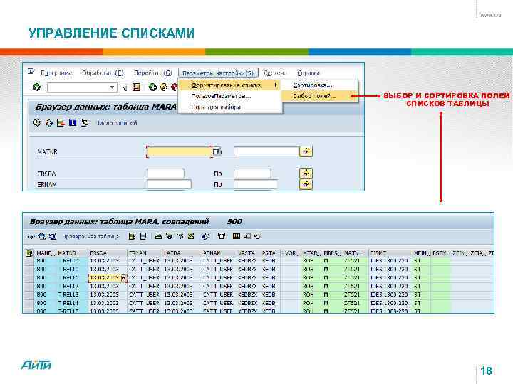 УПРАВЛЕНИЕ СПИСКАМИ ВЫБОР И СОРТИРОВКА ПОЛЕЙ СПИСКОВ ТАБЛИЦЫ 18 