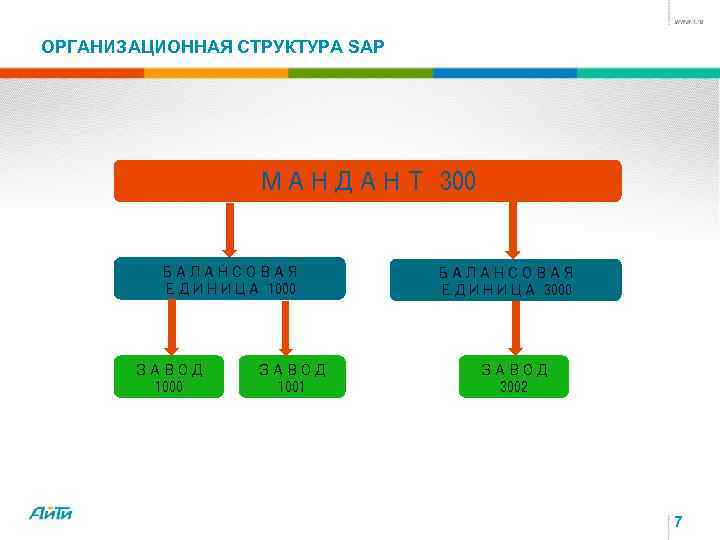 ОРГАНИЗАЦИОННАЯ СТРУКТУРА SAP МАНДАНТ 300 БАЛАНСОВАЯ ЕДИНИЦА 1000 ЗАВОД 1001 БАЛАНСОВАЯ ЕДИНИЦА 3000 ЗАВОД