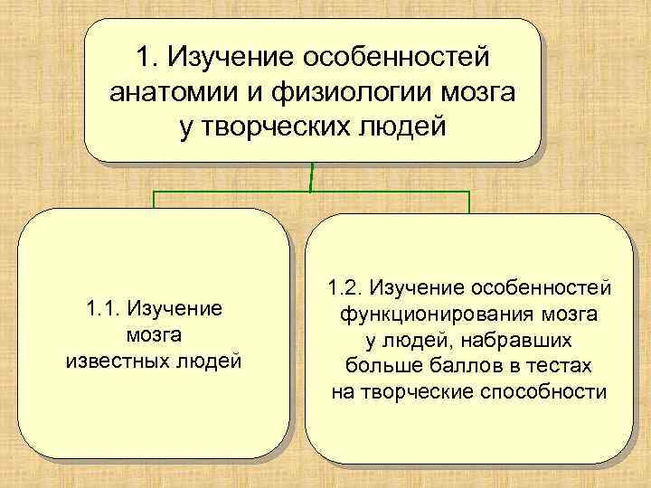 1. Изучение особенностей анатомии и физиологии мозга у творческих людей 1. 1. Изучение мозга