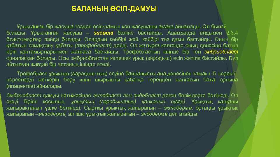 БАЛАНЫҢ ӨСІП-ДАМУЫ Ұрықтанған бір жасуша тездеп өсіп-дамып көп жасушалы ағзаға айналады. Ол былай болады.