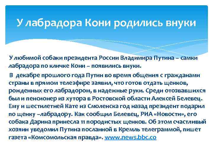 У лабрадора Кони родились внуки У любимой собаки президента России Владимира Путина – самки