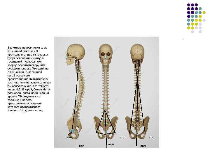 Взаимные пересечения всех этих линий даст нам 3 треугольника, два из которых будут основанием