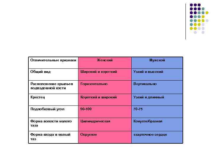 Отличительные признаки Женский Мужской Общий вид Широкий и короткий Узкий и высокий Расположение крыльев