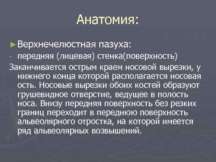Анатомия: ► Верхнечелюстная пазуха: передняя (лицевая) стенка(поверхность) Заканчивается острым краем носовой вырезки, у нижнего