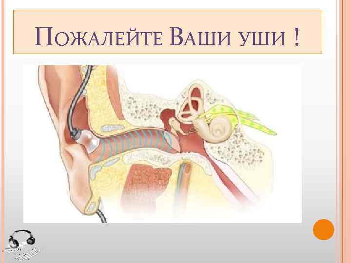 ПОЖАЛЕЙТЕ ВАШИ УШИ ! 