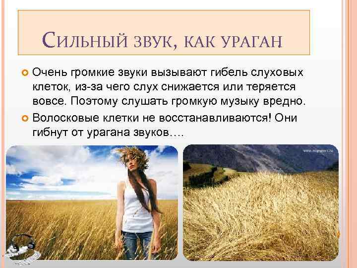 СИЛЬНЫЙ ЗВУК, КАК УРАГАН. Очень громкие звуки вызывают гибель слуховых клеток, из-за чего слух