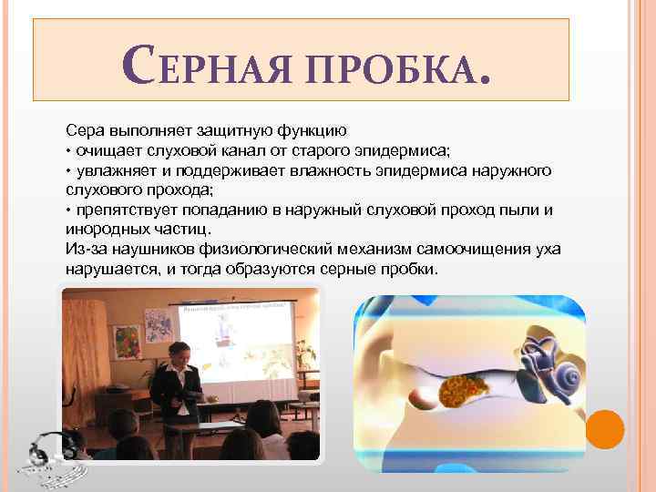 СЕРНАЯ ПРОБКА. Сера выполняет защитную функцию • очищает слуховой канал от старого эпидермиса; •