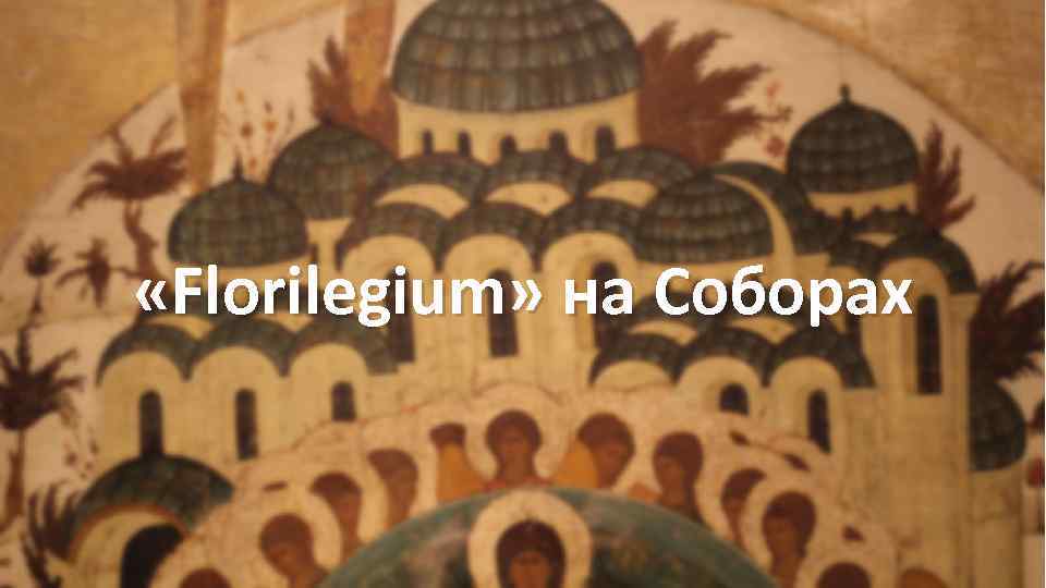  «Florilegium» на Соборах 