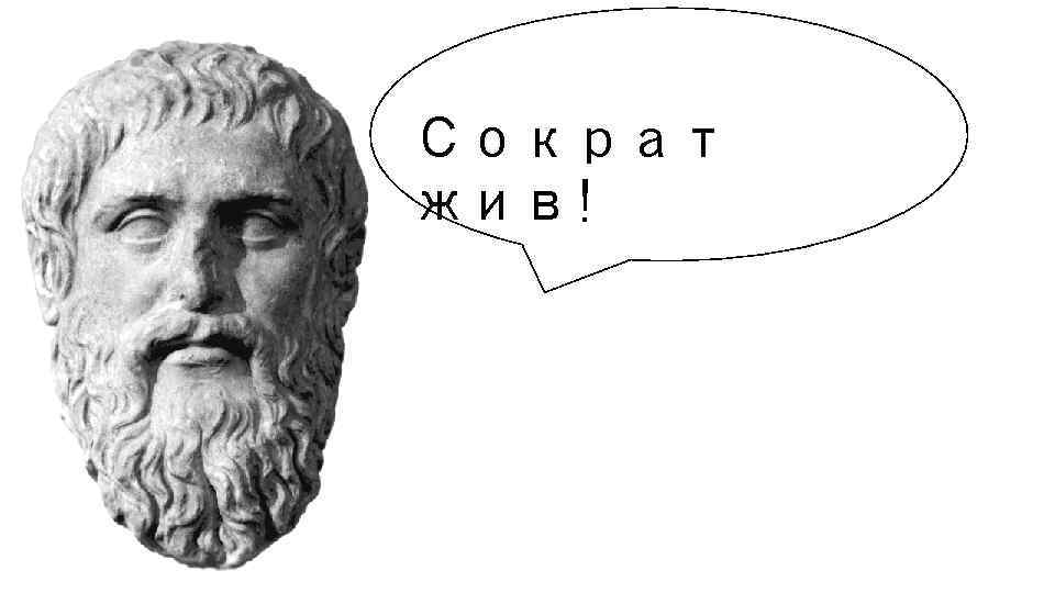 Сократ жив! 