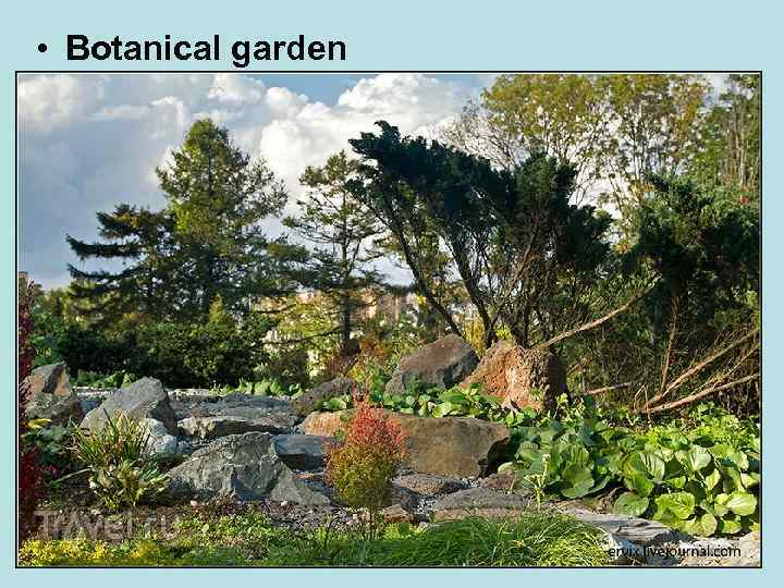  • Botanical garden 