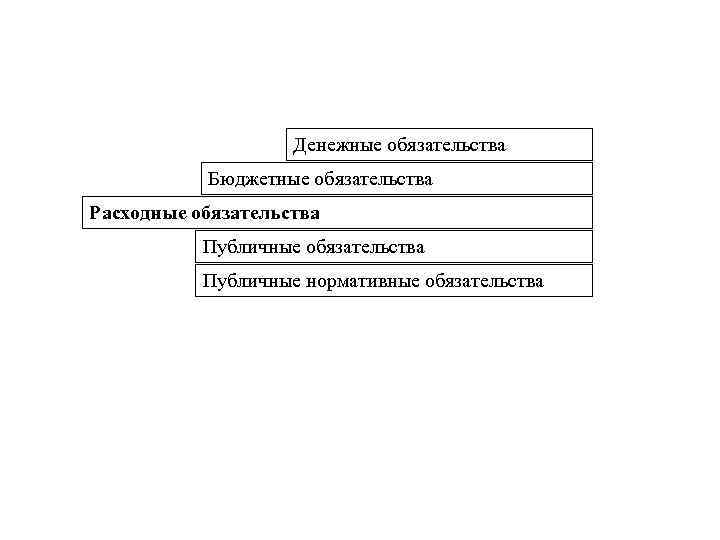 Денежные обязательства Бюджетные обязательства Расходные обязательства Публичные нормативные обязательства 