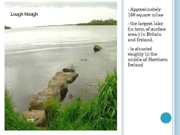 Approximately 150 square miles • Lough Neagh the largest lake (in term of surface