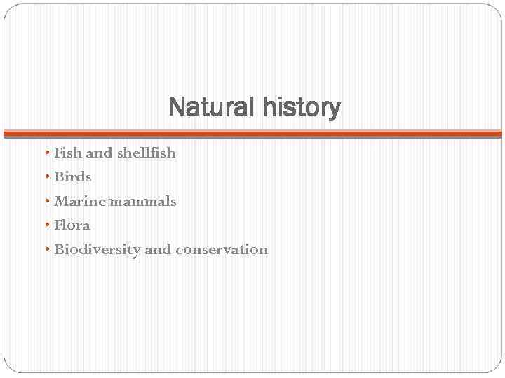 Natural history • Fish and shellfish • Birds • Marine mammals • Flora •