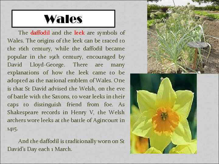 Wales The daffodil and the leek are symbols of Wales. The origins of the