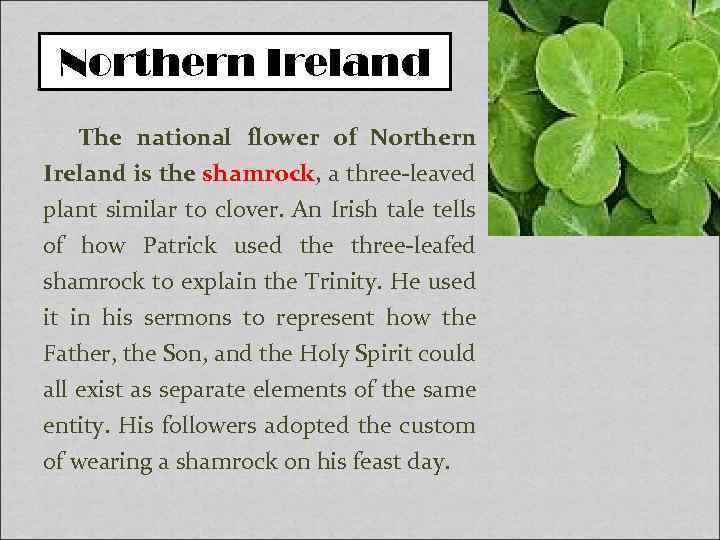 Northern Ireland The national flower of Northern Ireland is the shamrock, a three-leaved plant