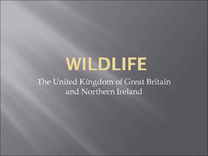 WILDLIFE The United Kingdom of Great Britain and Northern Ireland 