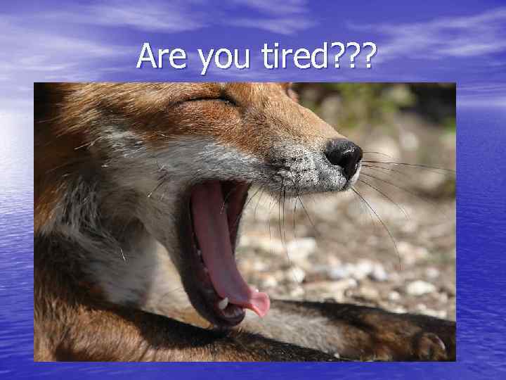 Are you tired? ? ? 