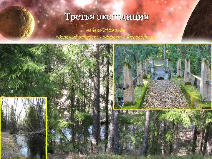 Третья экспедиция начало 2159 года «Зелёный всплеск» - эффект гиперэволюции 