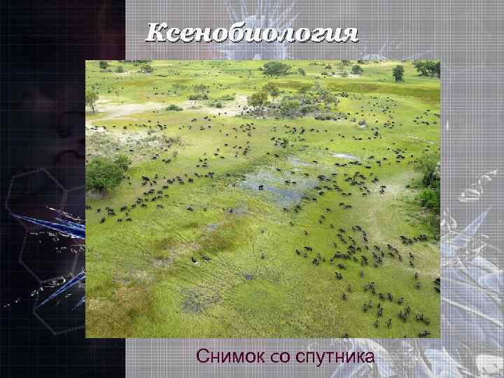 Ксенобиология Снимок cо спутника 