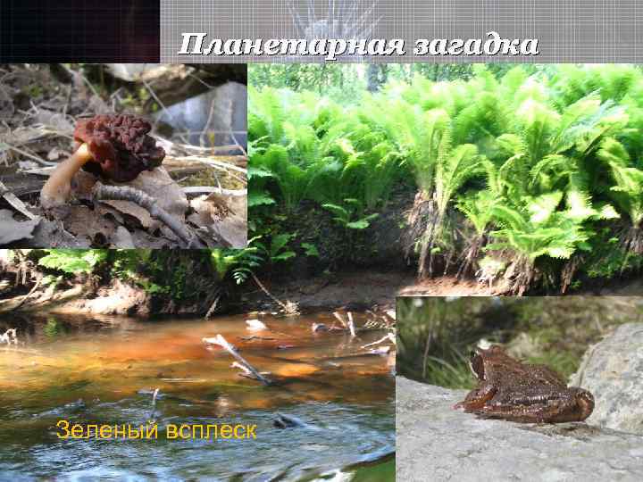 Планетарная загадка Зеленый всплеск 