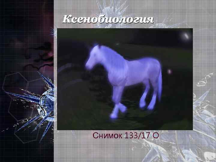 Ксенобиология Снимок 133/17 O 