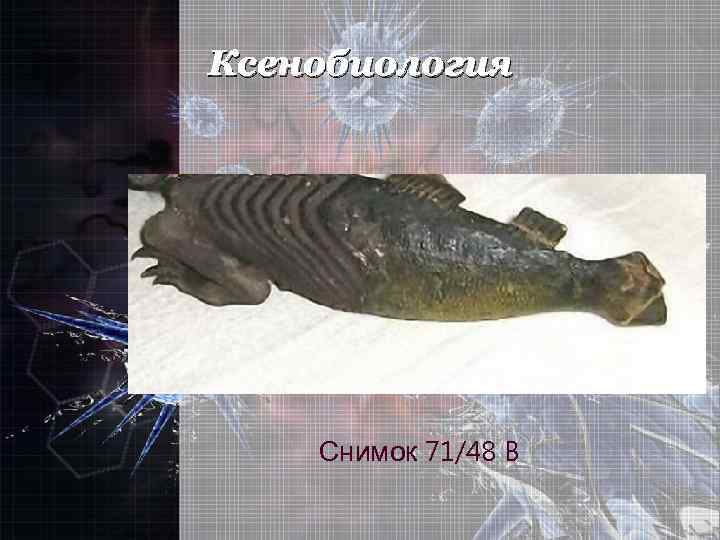 Ксенобиология Снимок 71/48 B 