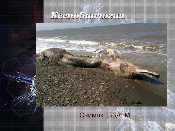 Ксенобиология Снимок 153/6 М 
