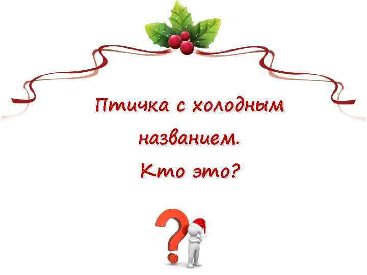 Птичка с холодным названием. Кто это? 