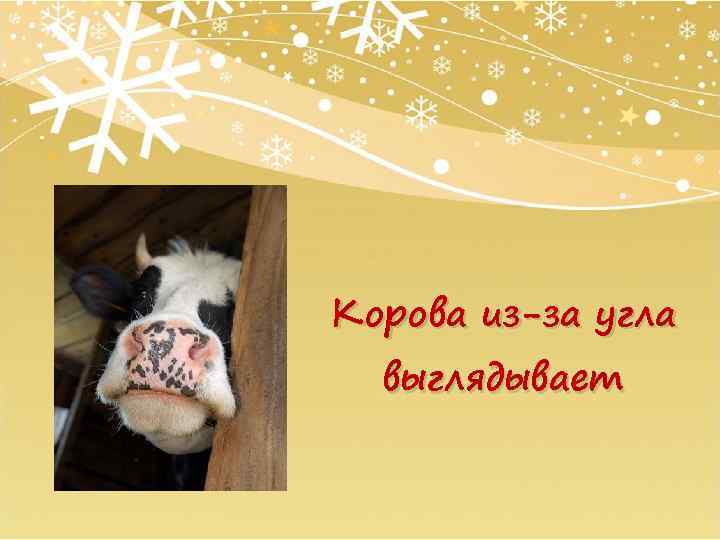 Корова из-за угла выглядывает 
