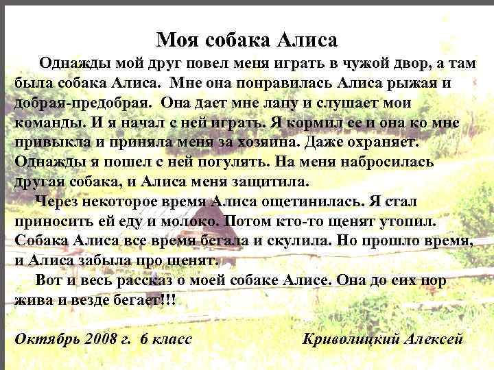 Моя собака Алиса Однажды мой друг повел меня играть в чужой двор, а там