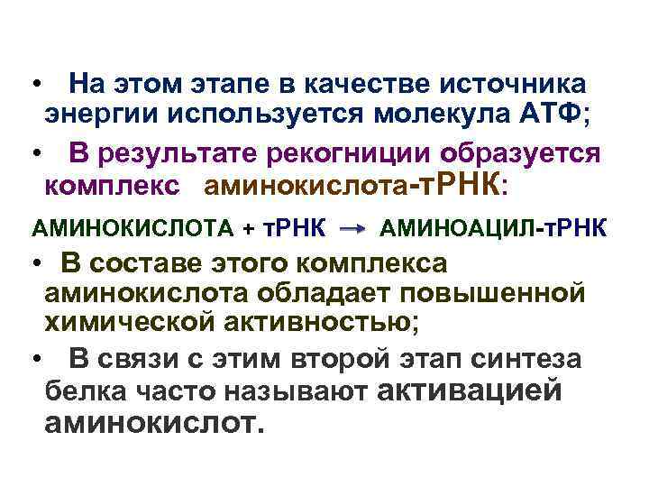  • На этом этапе в качестве источника энергии используется молекула АТФ; • В