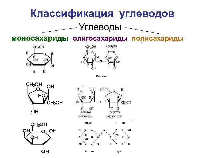 Классификация углеводов Углеводы моносахариды олигосахариды полисахариды 