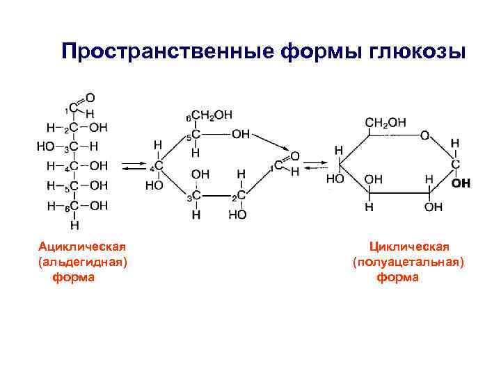 Пространственные формы глюкозы Ациклическая (альдегидная) форма Циклическая (полуацетальная) форма 