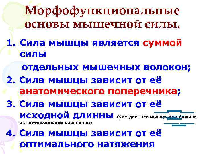 Морфофункциональные основы мышечной силы. 1. Сила мышцы является суммой силы отдельных мышечных волокон; 2.