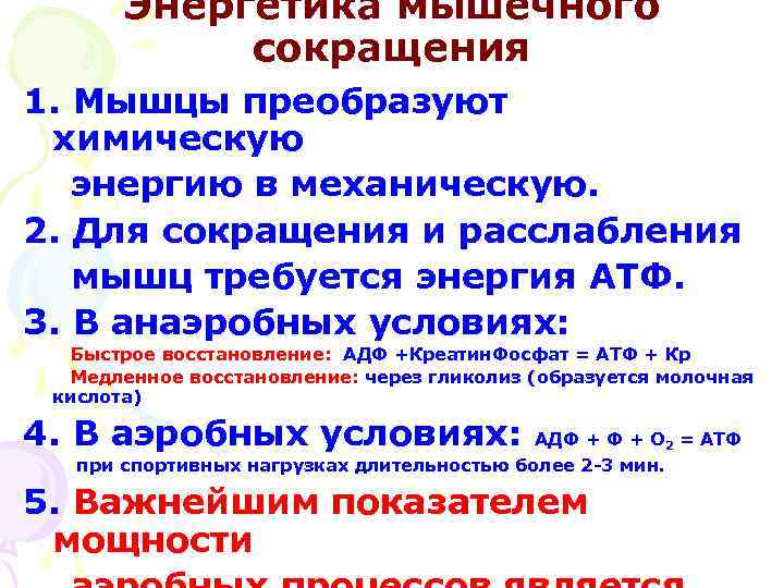 Энергетика мышечного сокращения 1. Мышцы преобразуют химическую энергию в механическую. 2. Для сокращения и