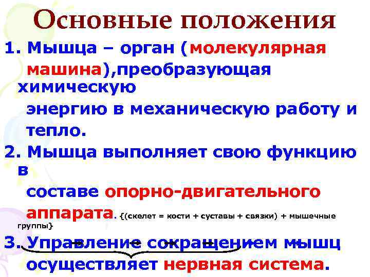 Основные положения 1. Мышца – орган (молекулярная машина), преобразующая химическую энергию в механическую работу