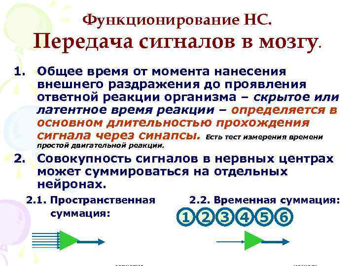 Функционирование НС. Передача сигналов в мозгу. 1. Общее время от момента нанесения внешнего раздражения