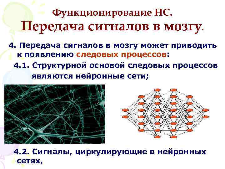 Структурная основа